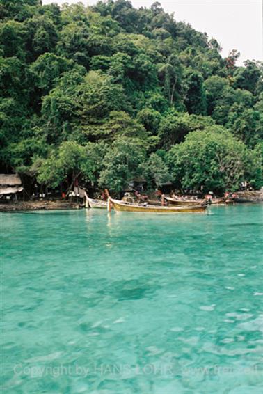 Koh Pee Pee 2000, Snorkeling excursion, F1060004_478